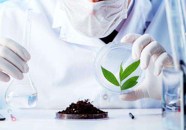 創新中藥研究與開發